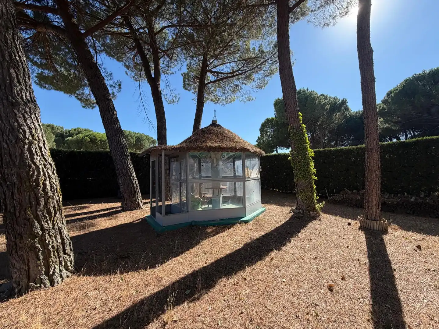 Jardín de Finca rústica en venta en Traspinedo con Calefacción, Jardín privado y Terraza