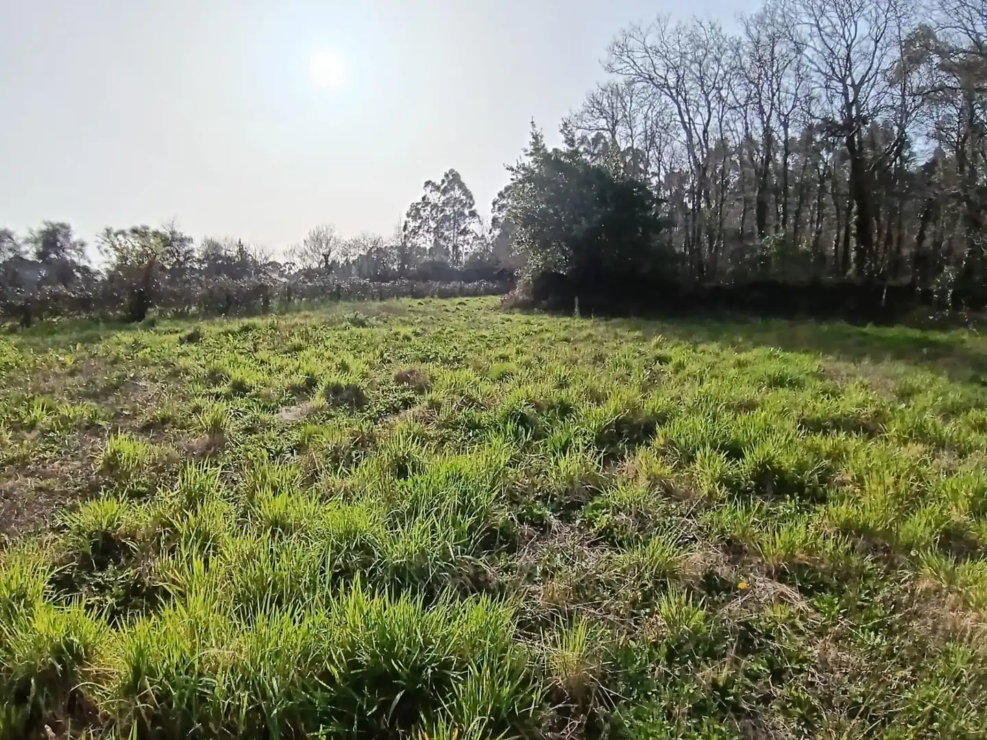 Country homes for sale in Meis
