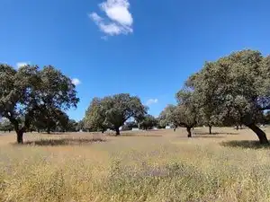 Terreni e lotti in vendita a Norte, imagen 45