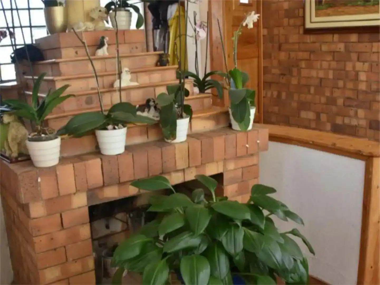 Finca rústica en venda en Rota amb Traster i Moblat