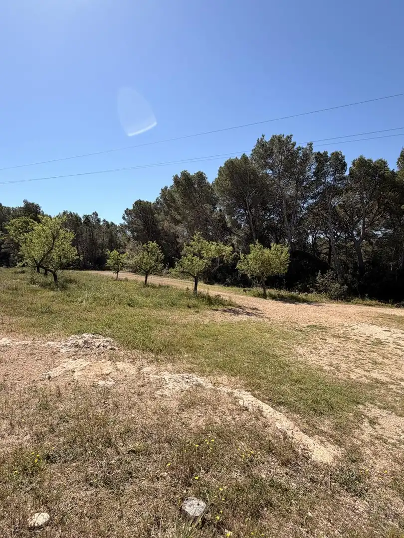 Country house with garden for sale in Barranc del Boch, imagen 11