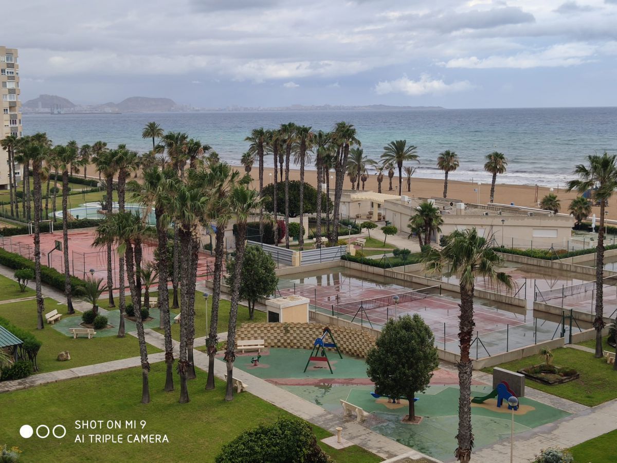 Exterior view of Flat to rent in Alicante / Alacant  with Private garden, Terrace and Community pool