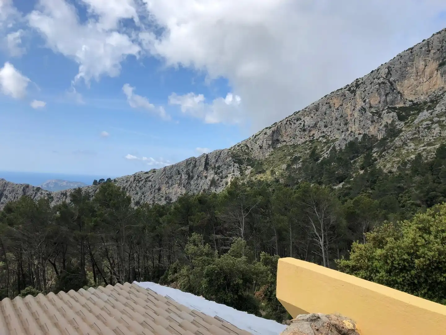 Casa con piscina en venta en Puigpunyent, imagen 20