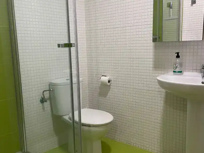 Bathroom of Flat for rent in Valdevimbre  with Parquet flooring and Furnished