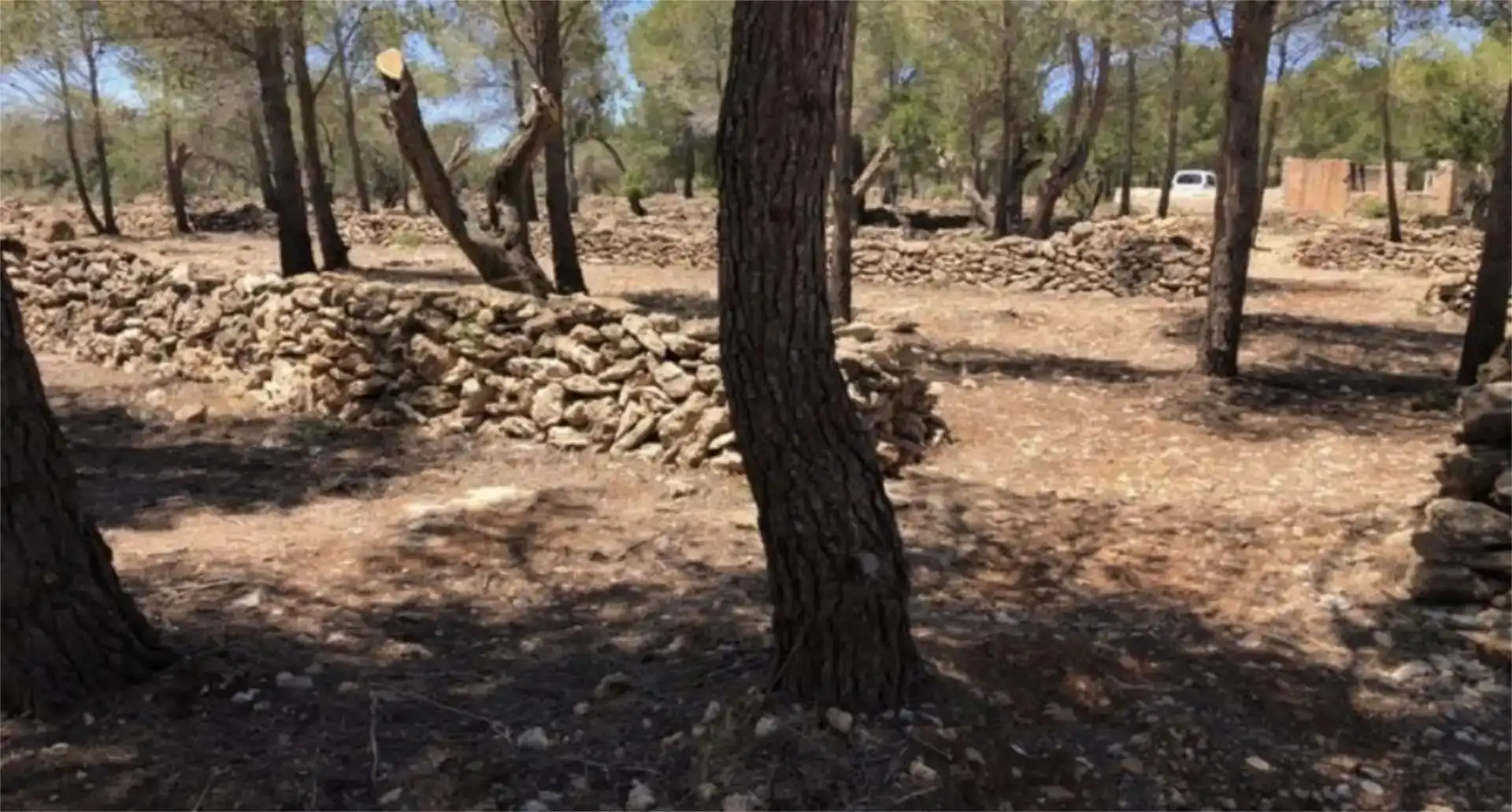 Finca rústica en venda en Vandellòs i l'Hospitalet de l'Infant amb Jardí privat