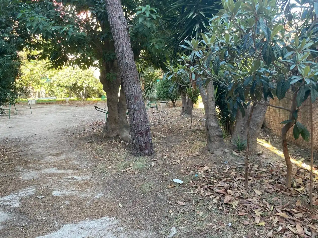 Appartamento con terrazza in vendita a Calle Sant Isidre, imagen 37