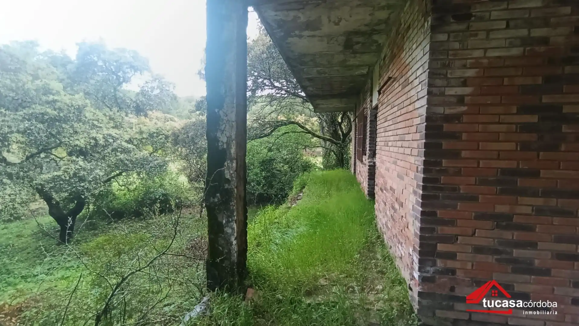 Houses for sale in Las Jaras