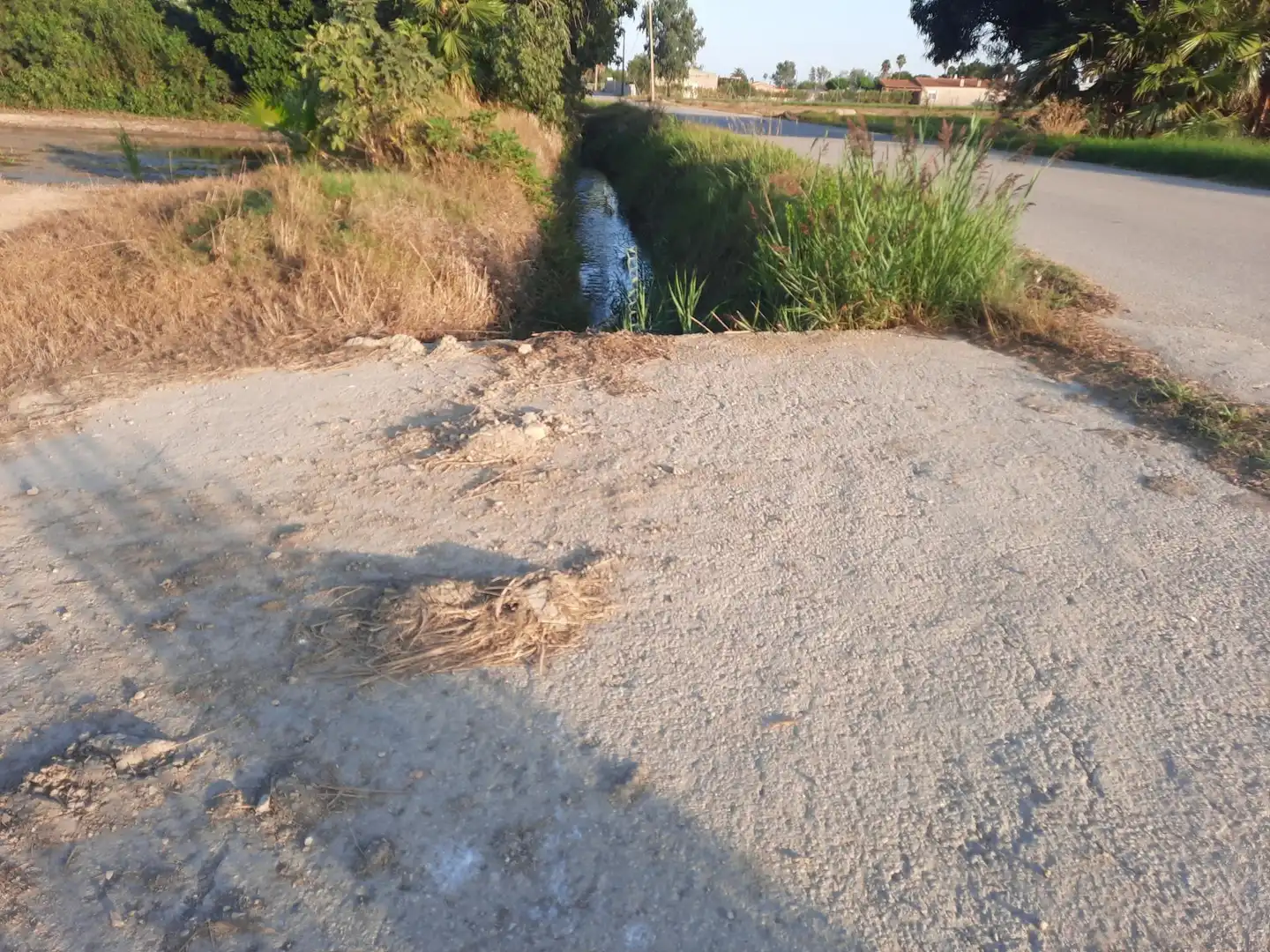 Terrain rustique à vendre à Eucaliptus- Poble Nou del Delta, imagen 12
