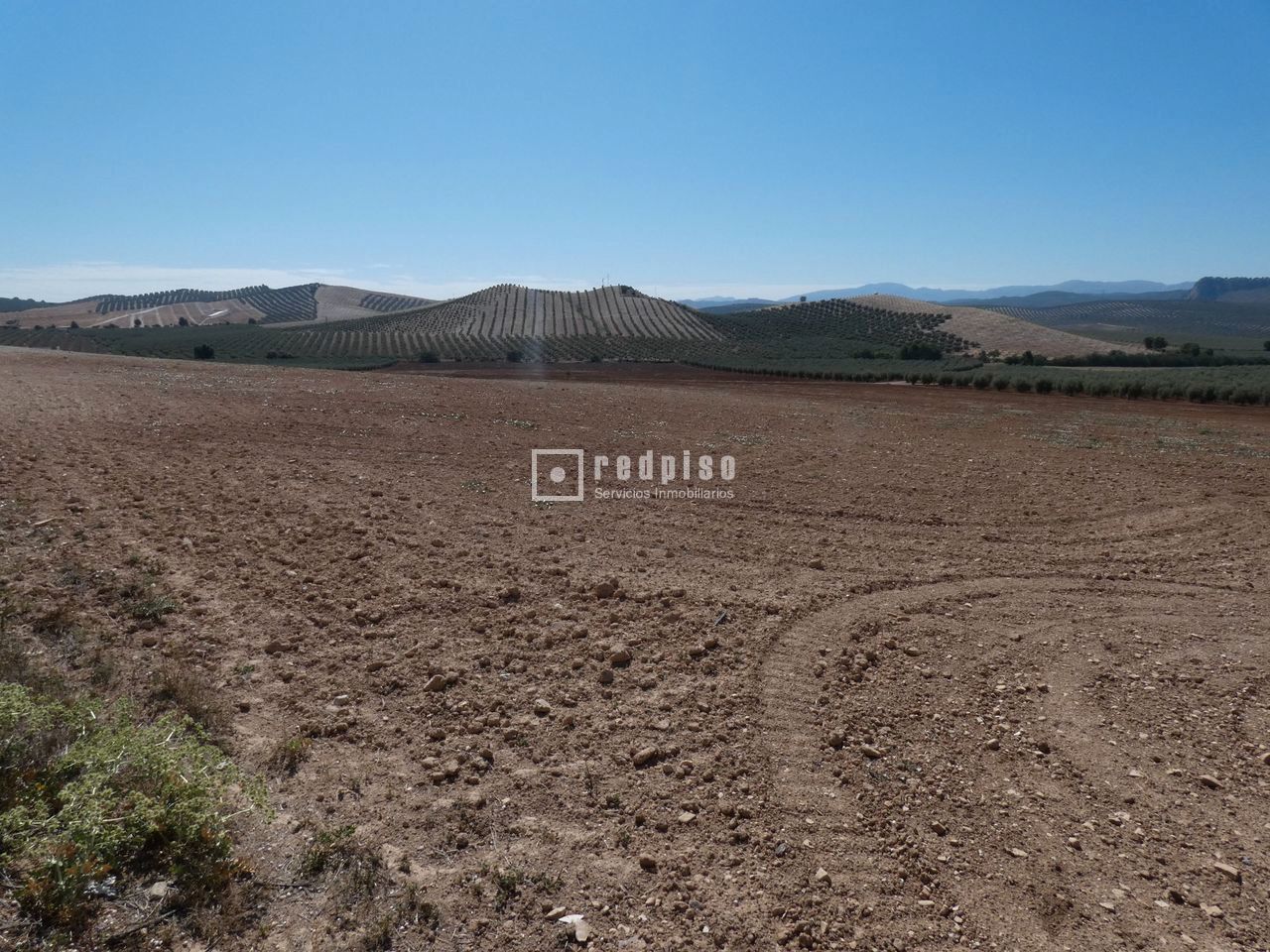 Terreny industrial en venda en Antequera