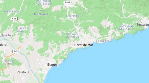 Foto 4 de Piso en venta en Santa Cristina - Sant Francesc, Blanes