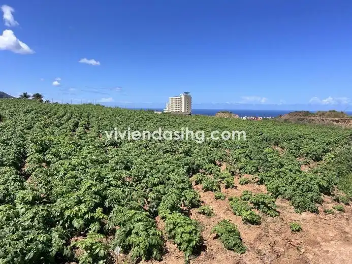 Residential for sale in Los Realejos