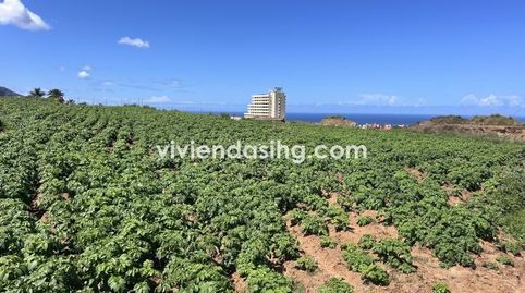 Photo 3 of Residential for sale in El Castillo, 1, Longuera - Toscal, Los Realejos