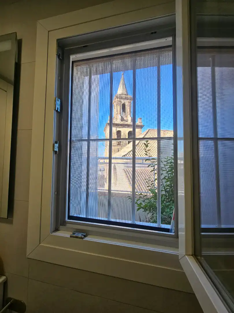 Exterior view of Attic for sale in Casco Antiguo
