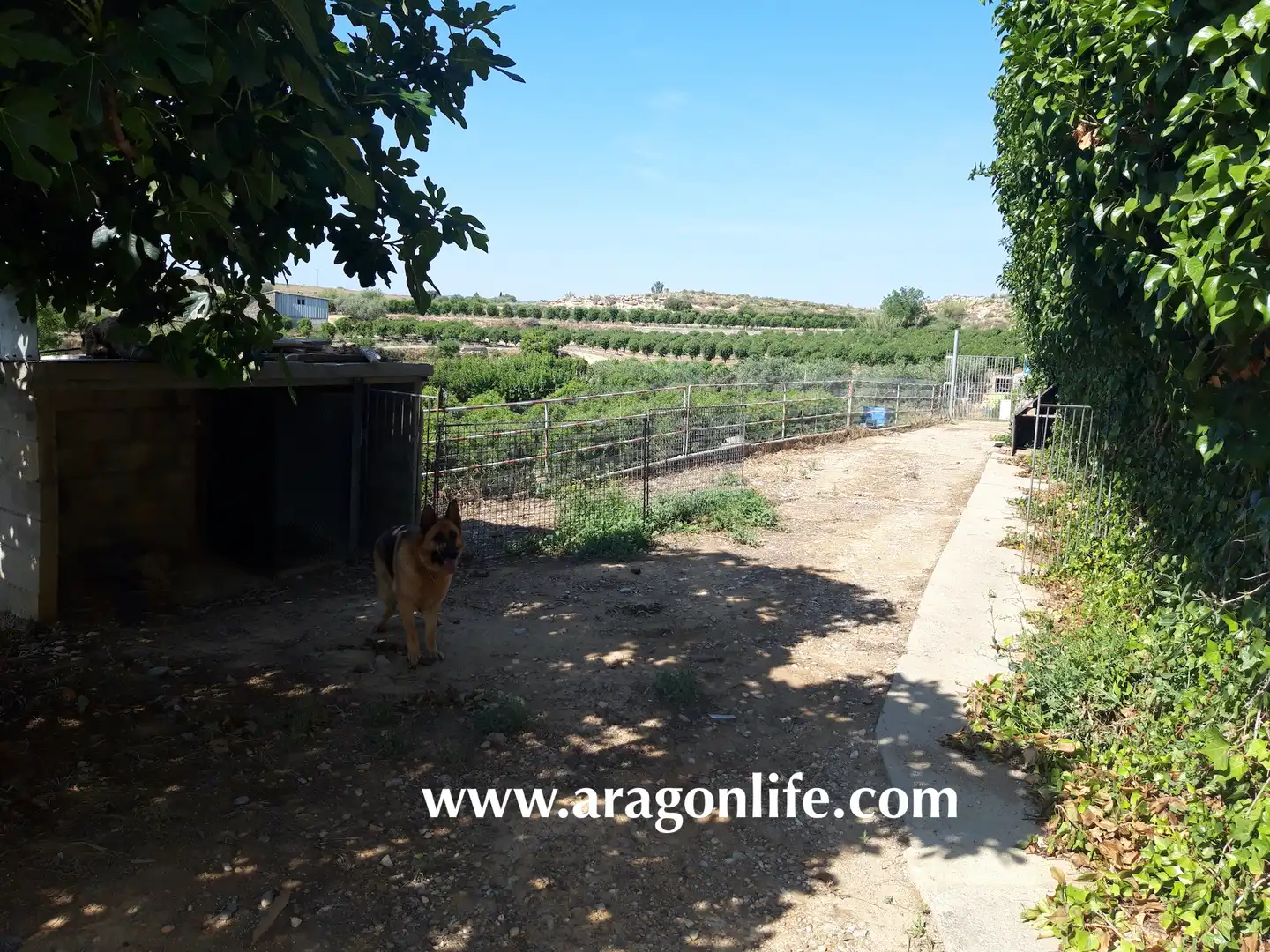 Jardín de Finca rústica en venta en Caspe con Amueblado