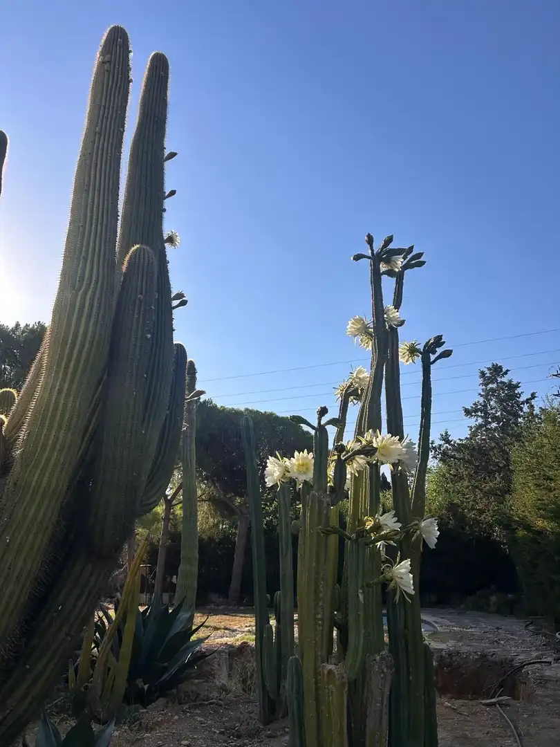 Garden of Detached homes for sale in Sant Pere de Ribes  with Air Conditioner, Heating and Private garden