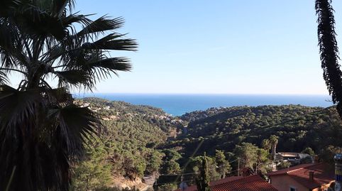 Foto 3 de Casa o xalet en venda a Avenida Pla de Rosell, Serra Brava, Lloret de Mar
