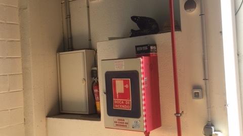 Photo 3 of Industrial buildings to rent in Avenida Gustavo Adolfo Bécquer, 65, Rodeo Alto - Guadaiza - La Campana, Málaga