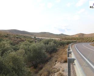 Außenansicht von Grundstücke zum verkauf in Alcolea