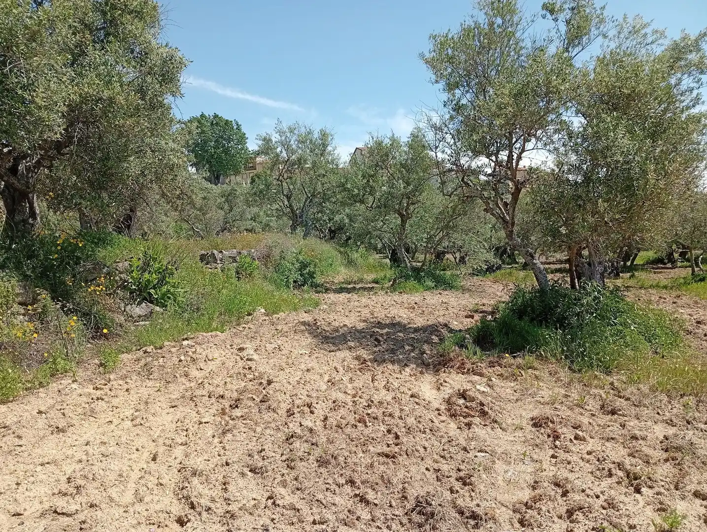 Terreni e lotti in vendita a Villanueva de la Vera, imagen 28