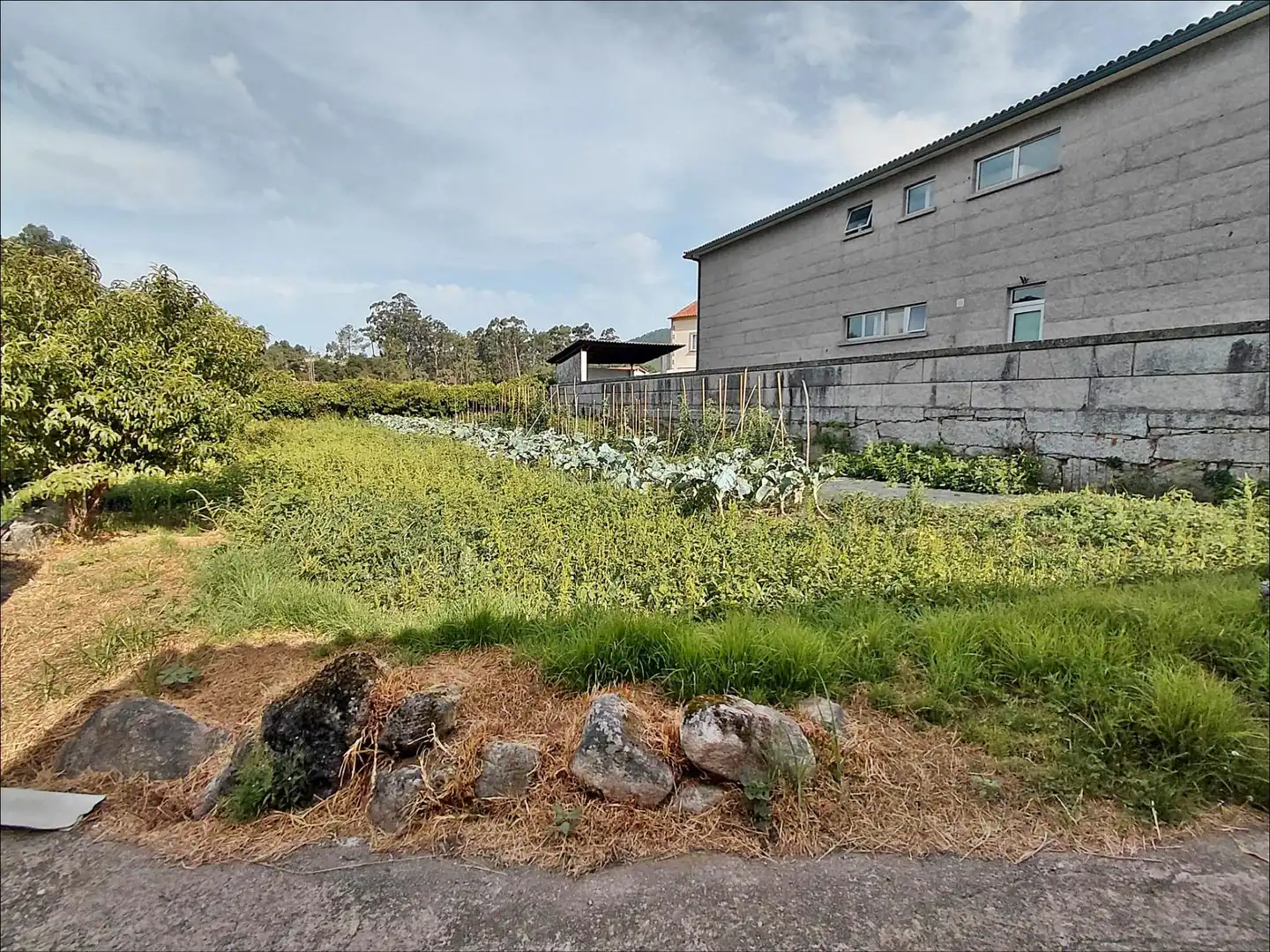Lands and plots for sale in Cea, imagen 36