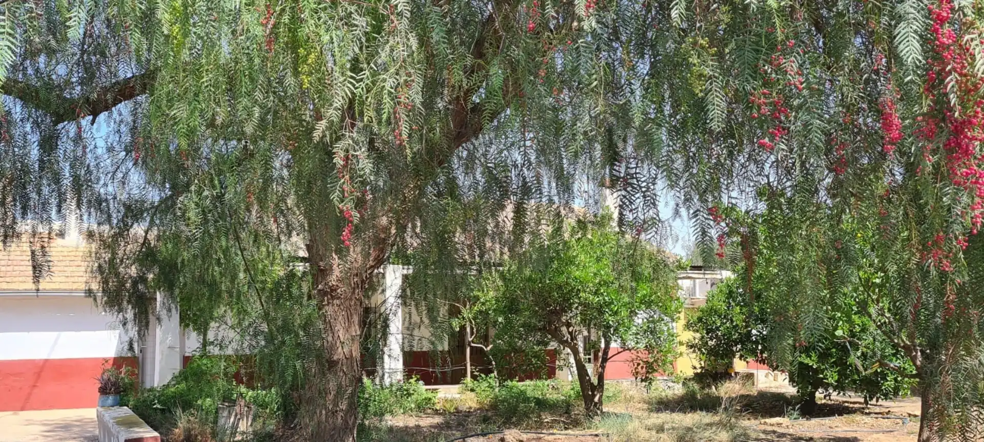 Casa in vendita a Pedanías Sur, imagen 7