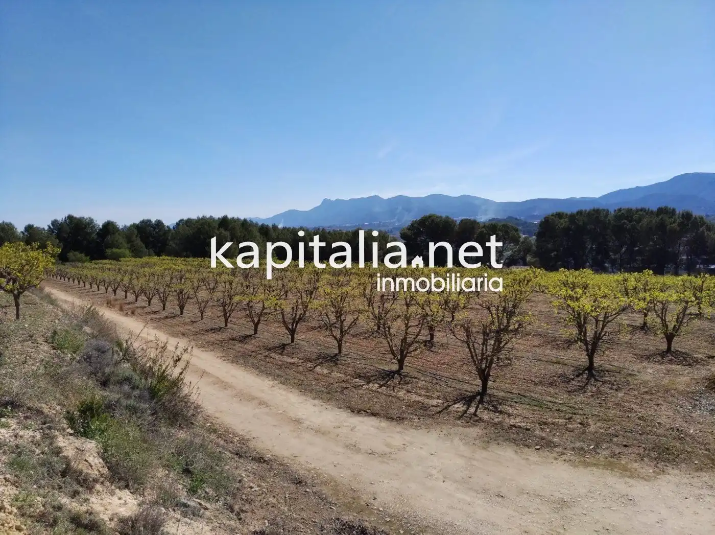 Casa o chalet en venta en Agullent