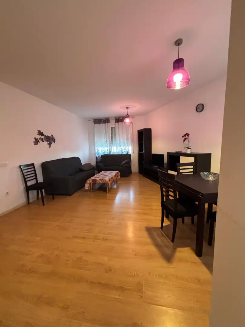 Living room of Flat for sale in Tivissa  with Furnished
