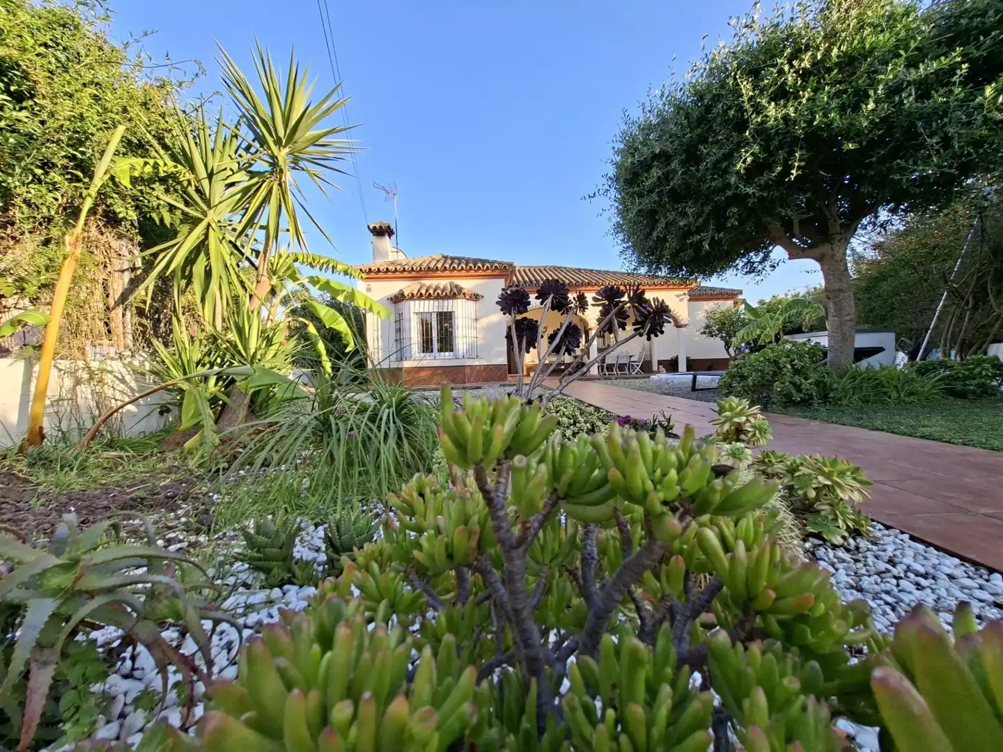 Exterior view of Houses for sale in Chiclana de la Frontera  with Private garden
