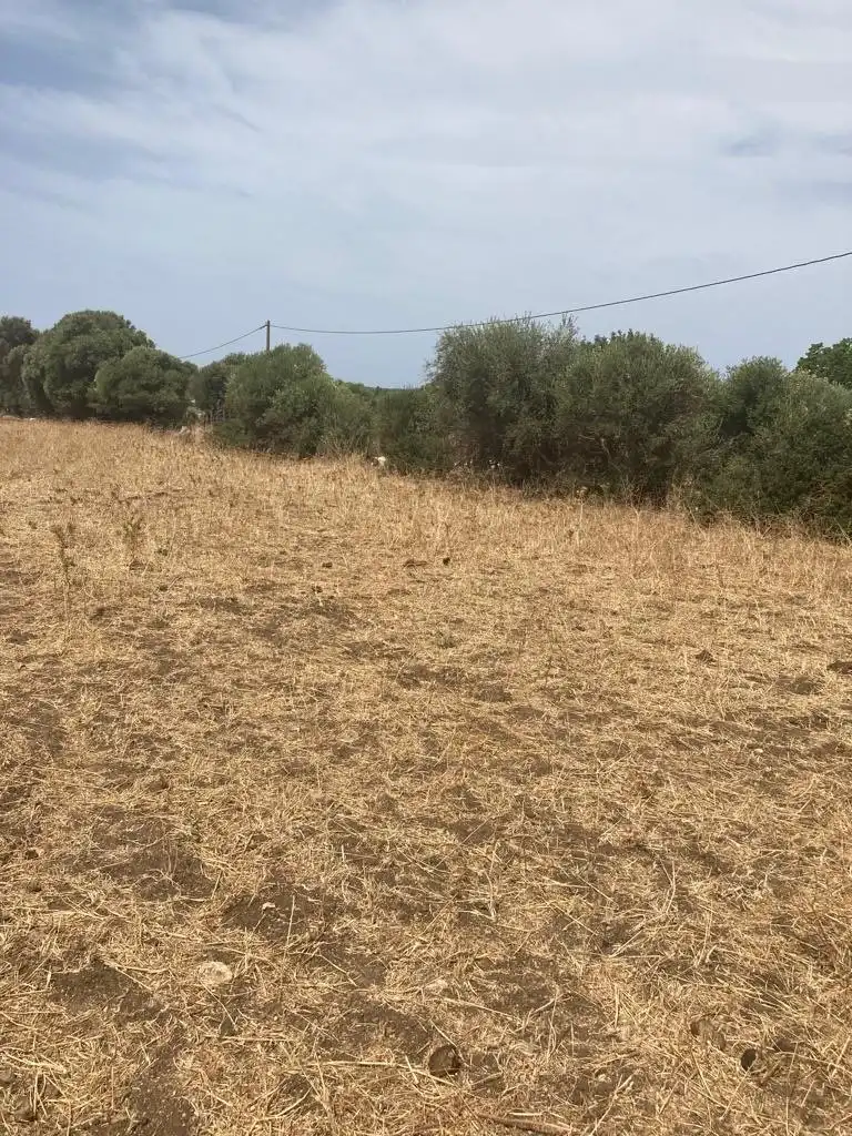 Casa rústica en venda a Barbate ciudad, imagen 4