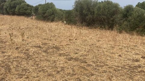 Foto 4 de Finca rústica en venda a Barbate ciudad, Barbate