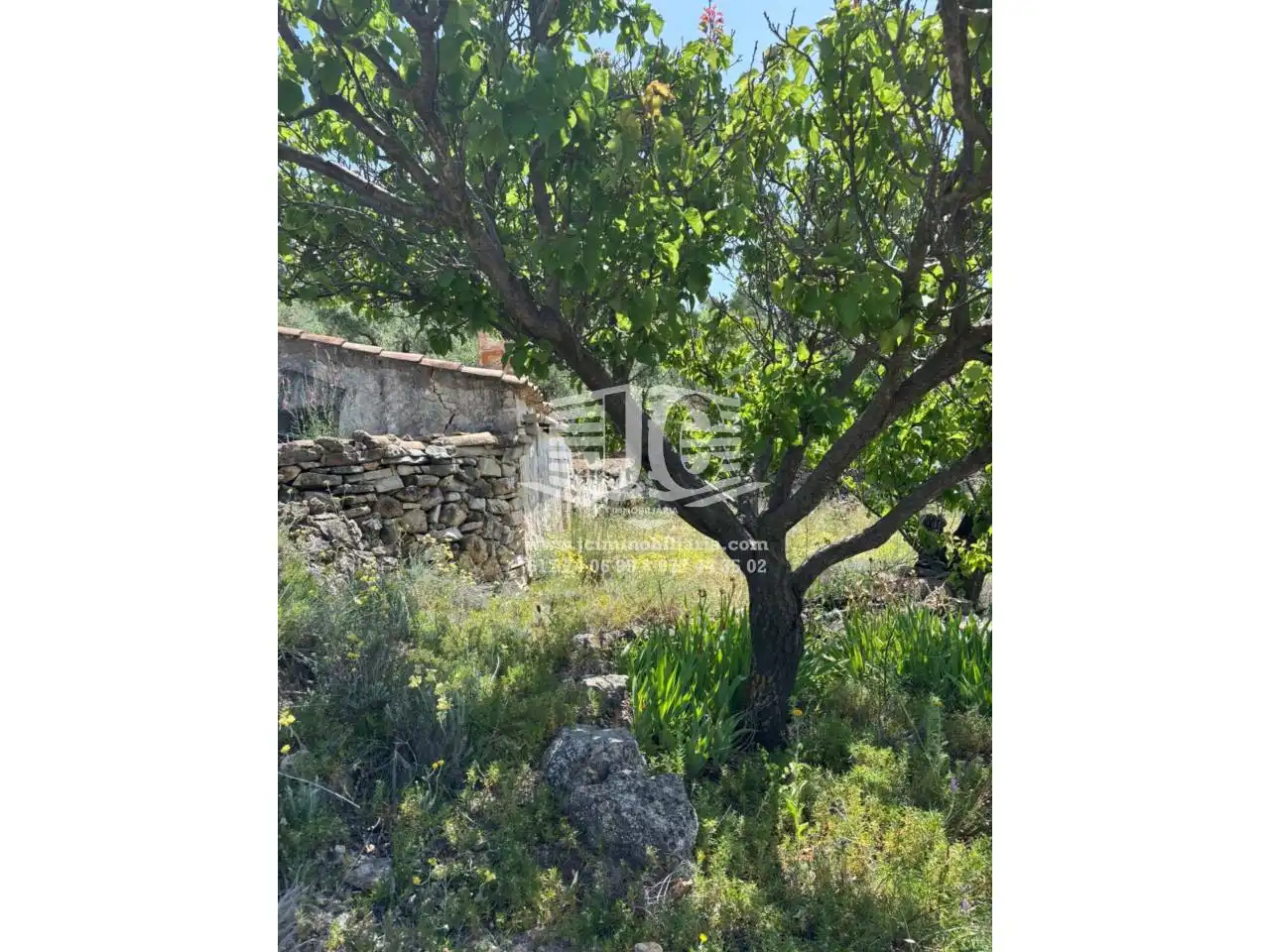 Terrain rustique à vendre à Poligono 8 57, imagen 10