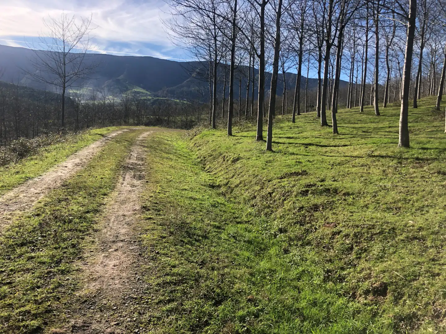 Casa o chalet en venta en Valdáliga con Calefacción, Jardín privado y Trastero