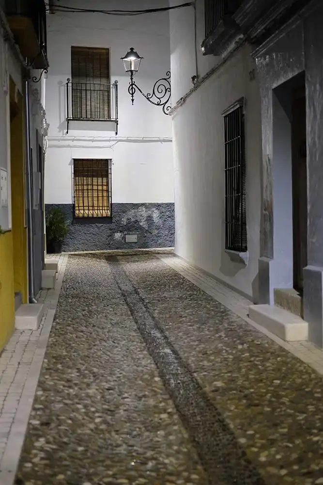 Exterior view of Detached homes for sale in Castro del Río  with Furnished