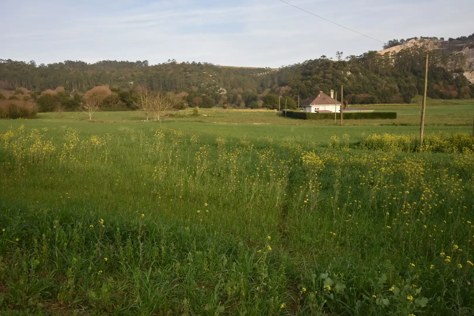 Terreni e lotti in vendita a Arce, imagen 4