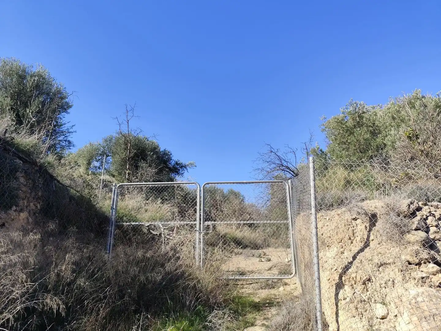 Casa rústica en venda a del Cercado Pago El Almendral, imagen 10