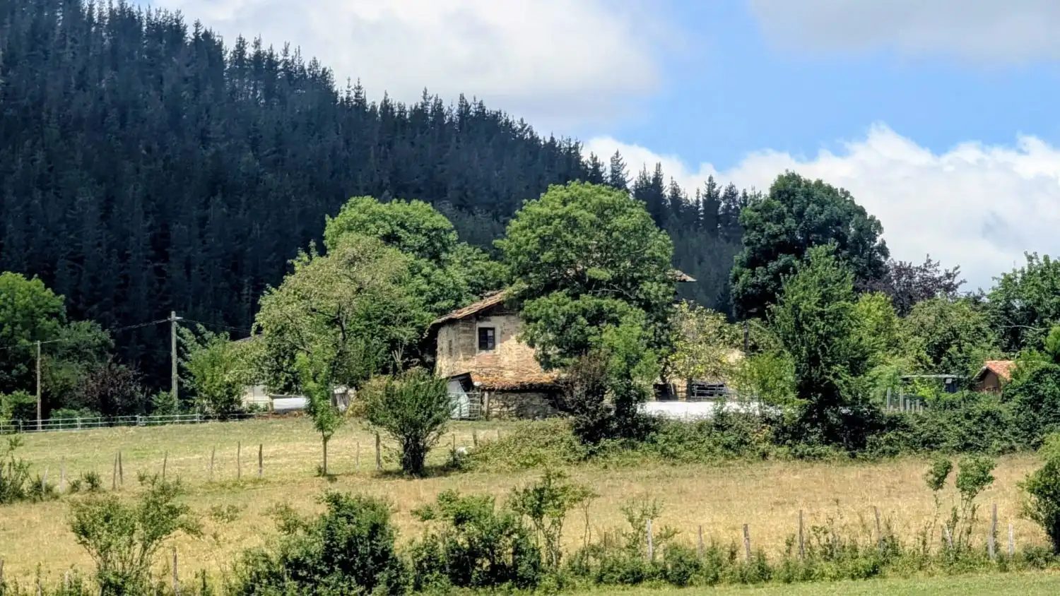 Terreny residencial en venda a Artziniega, imagen 4