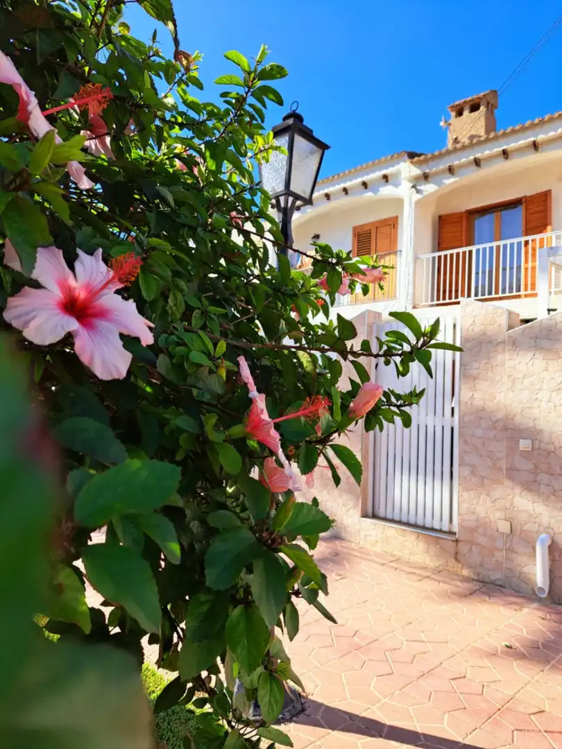 Bungalow mit Pool zur Miete in Gran Alacant, imagen 24