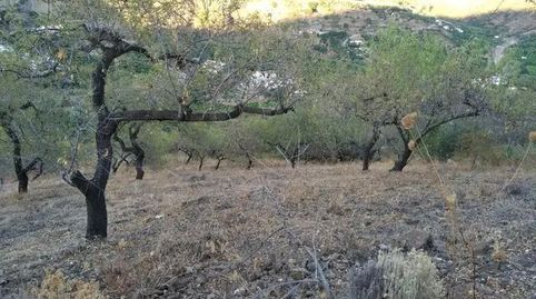 Photo 4 of Country homes for sale in Benamargosa, Málaga