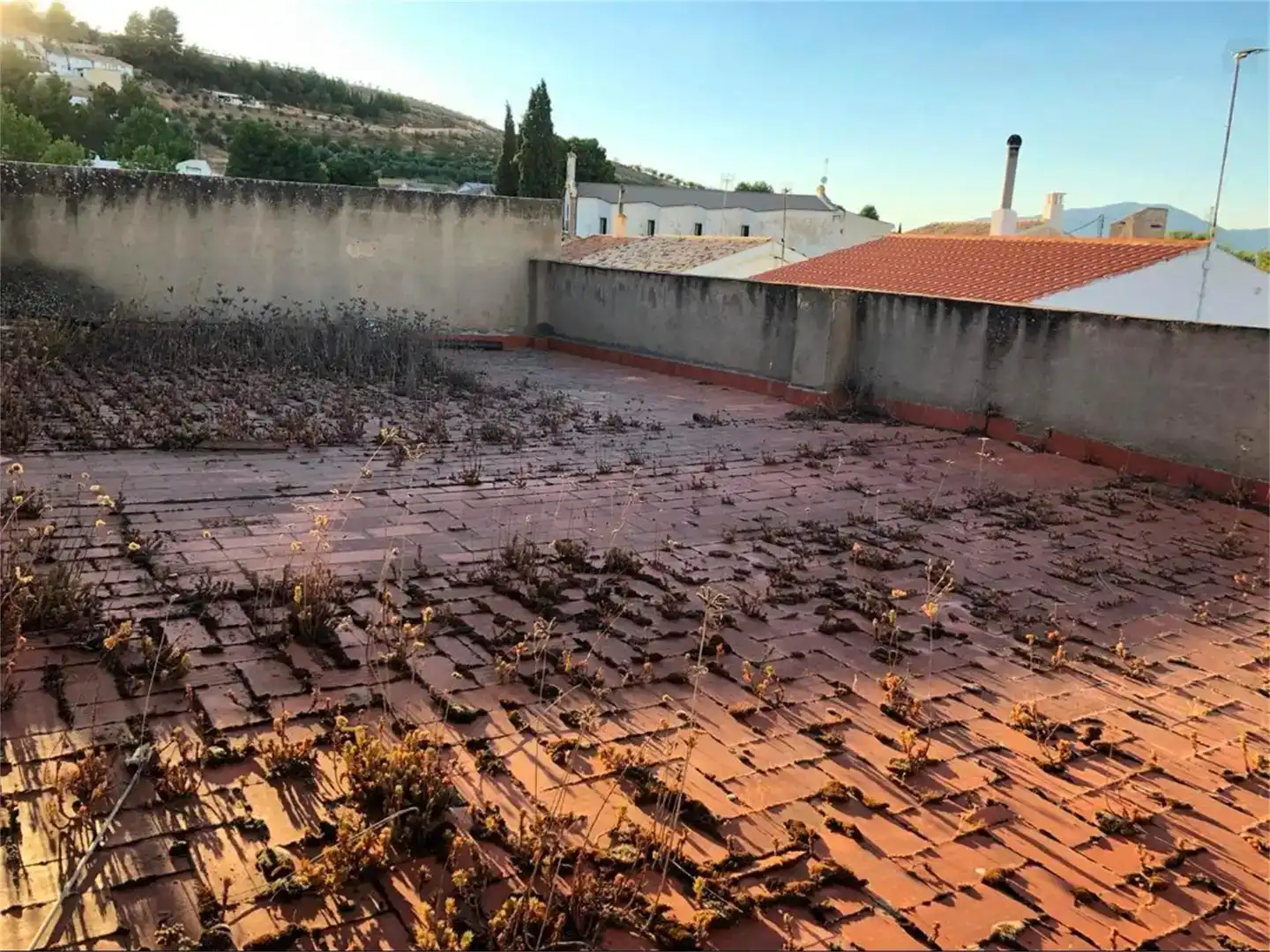 Terraza de Nave industrial en venta en Pozo Alcón