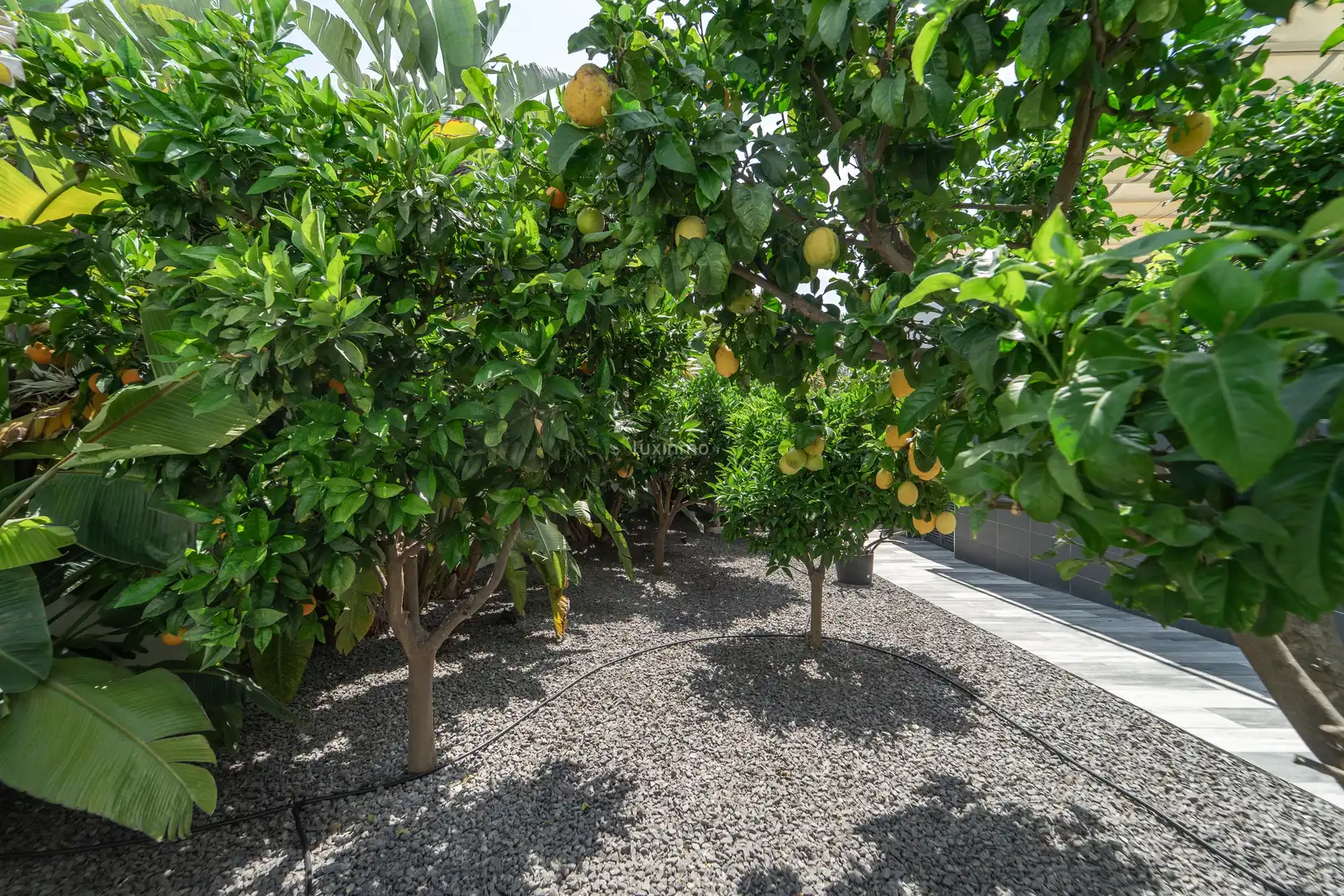Villa avec terrasse à vendre à Marisol Park - Ortembach - Los Almendros, imagen 20