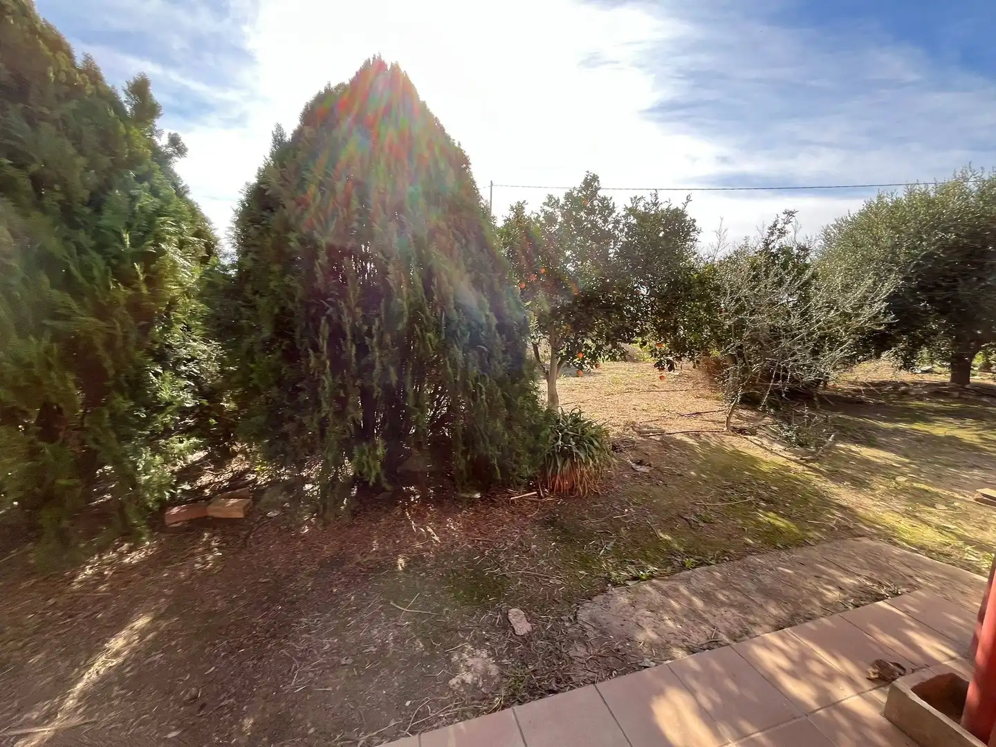 Casa o xalet en venda en Elche / Elx amb Jardí privat i Terrassa