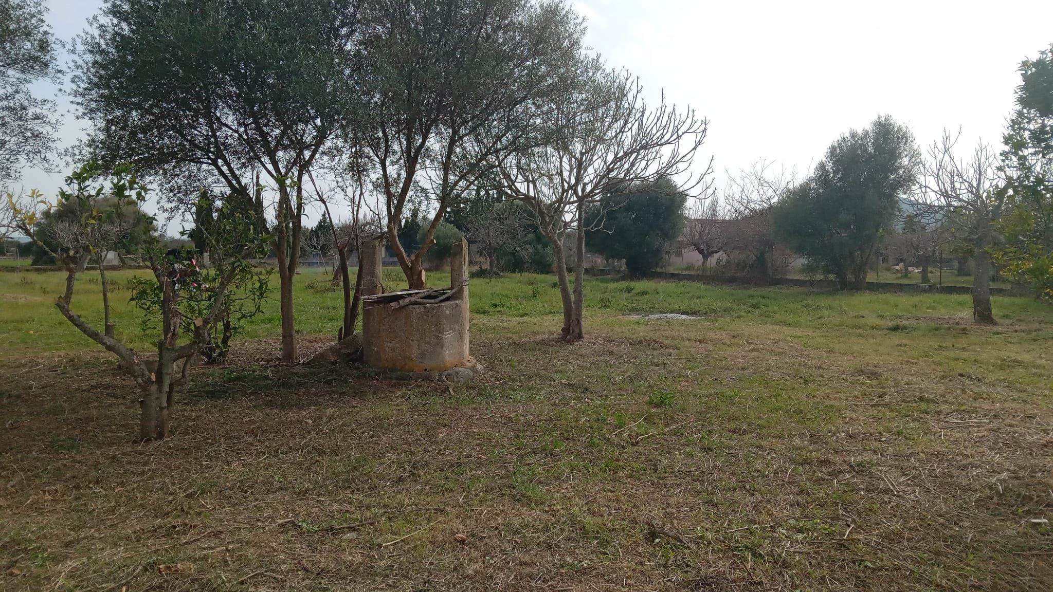 Finca rústica en venta en Campanet