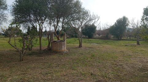 Foto 3 von Country house zum Verkauf in Campanet, Illes Balears