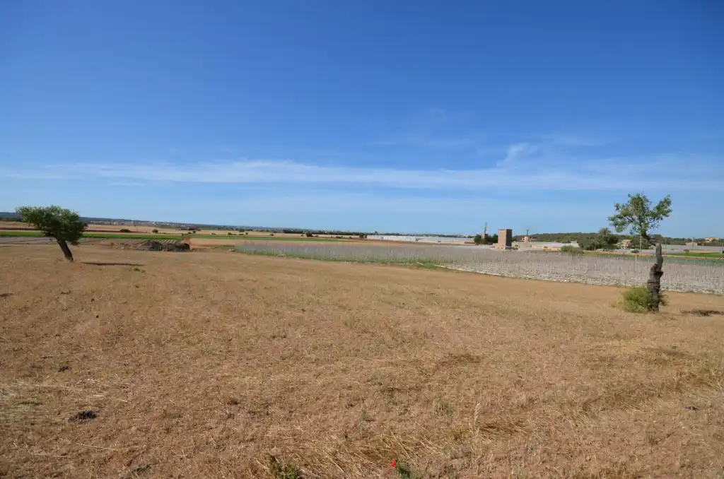 Casa rústica en venta en Llevant, imagen 18