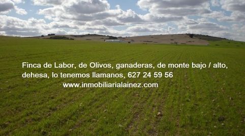 Foto 3 de Residencial en venta en San Roque - Ronda Norte, Badajoz Capital