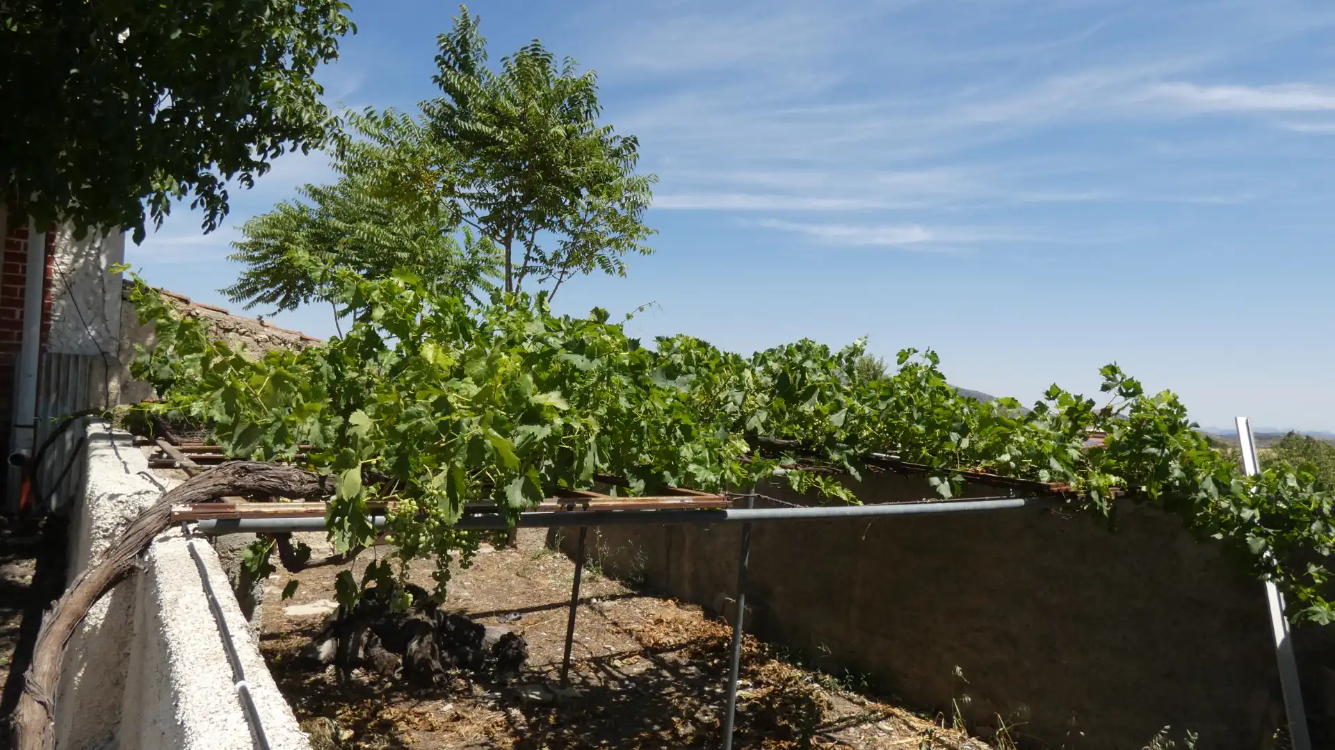 Garden of Houses for sale in María  with Terrace and Balcony