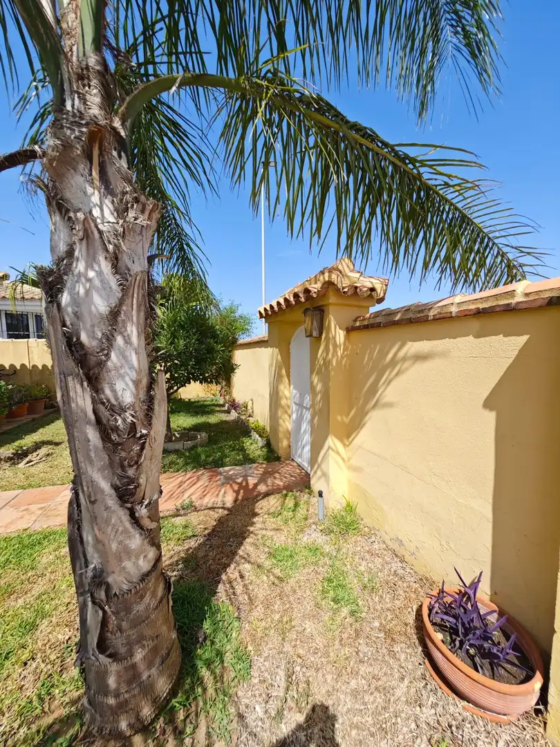 Exterior view of Houses for sale in Chiclana de la Frontera  with Heating, Private garden and Storage room
