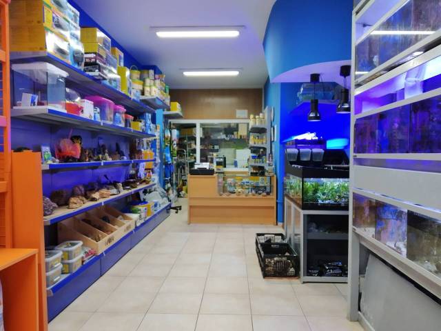 Local comercial en Venta en JOAN CARLES I, 172 en Mont Ferrant - Joan Carles I