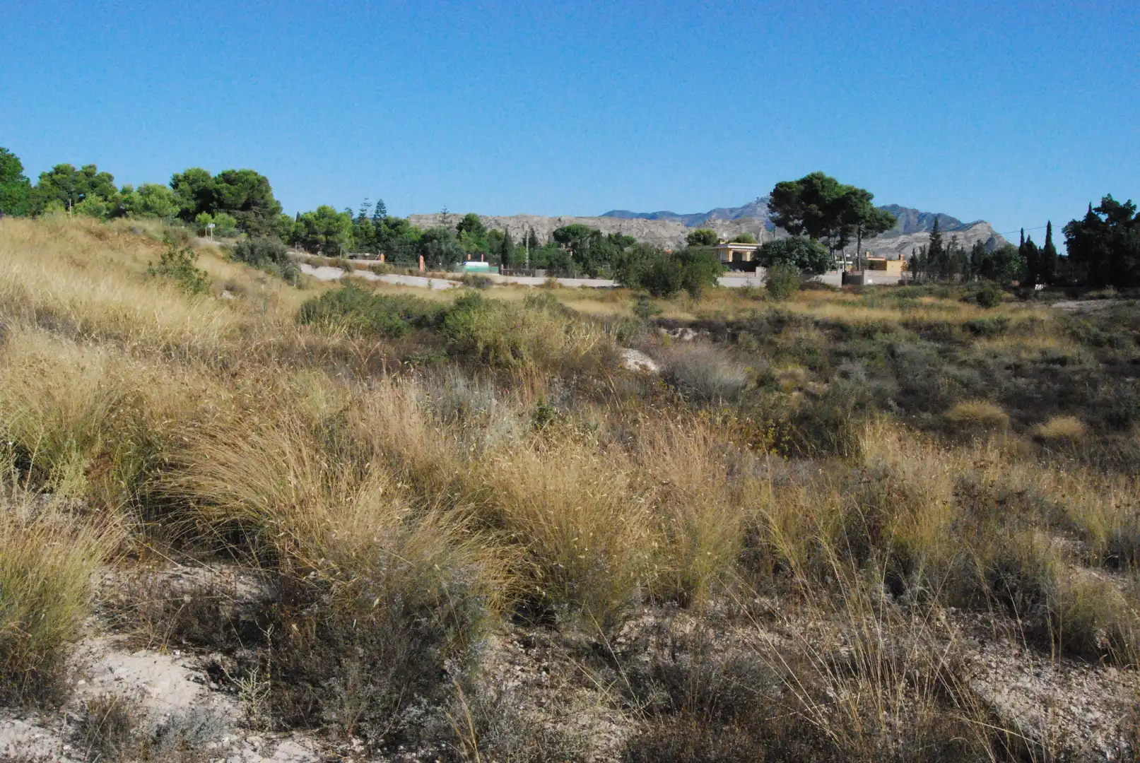 Terrain résidentiel à vendre à Agost, imagen 5