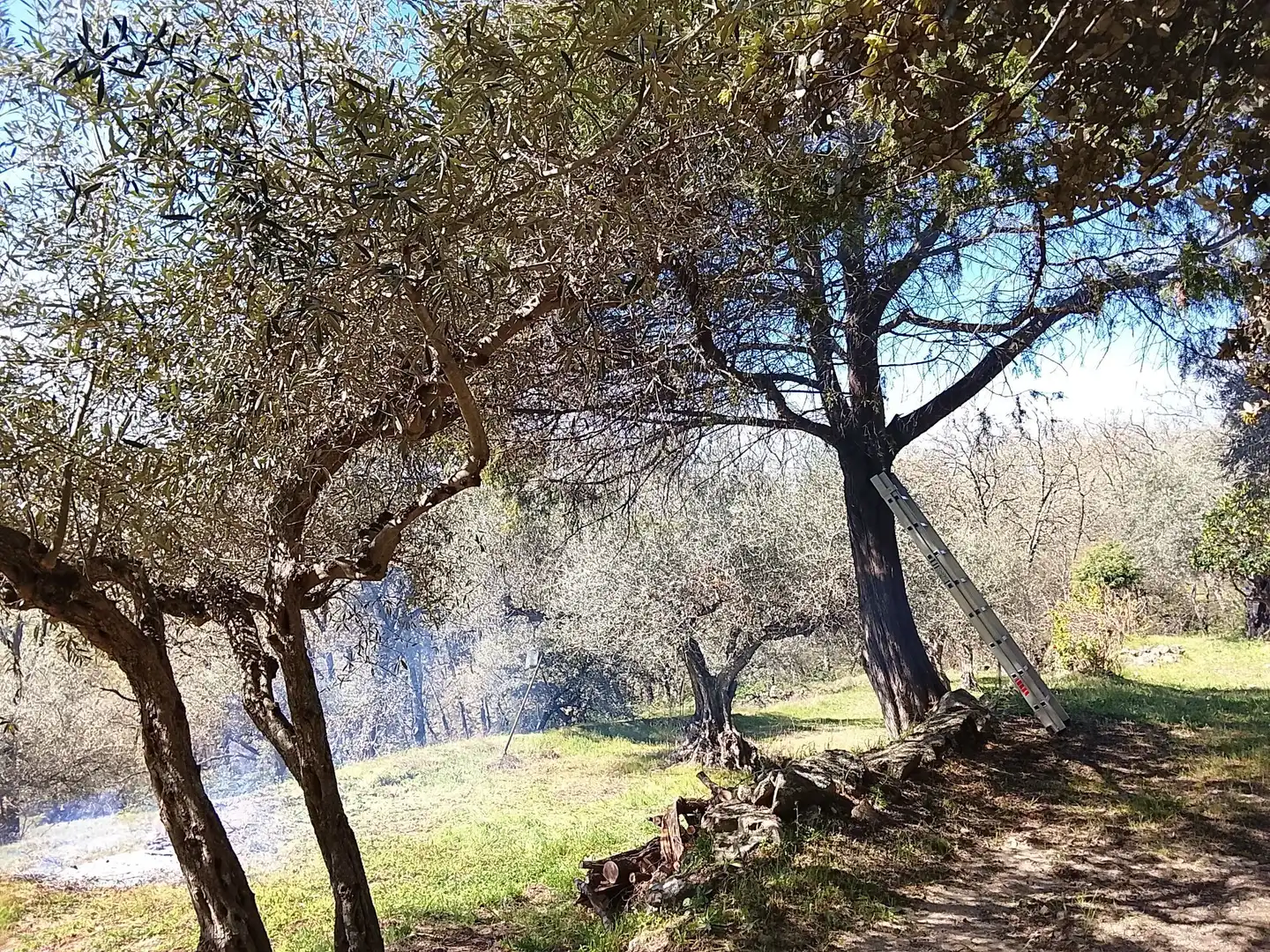 Terreni e lotti in vendita a Candeleda, imagen 34